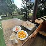 Hermosa Cabana Rodeada De Naturaleza Y Privacidad.